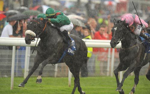 The Fugue (pink) pictured finishing second in the race last year to Shareta