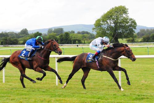 Sugar Boy pictured on his way to victory at Tipperary last year