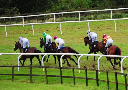 Winner Aranhill Chief sits in third as Afatcat leads the field in the bumper