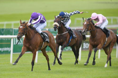 Up stays on best to beat Ballybacka Lady (noseband) and Aloof (pink)