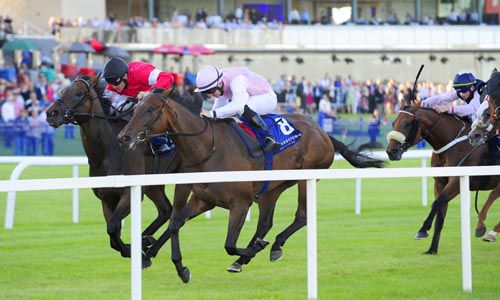Lily's Angel (nearside) holds on from Seanie at Leopardstown