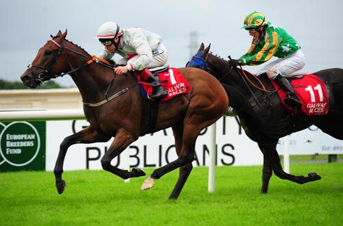 Consonance holds on from the unlucky in running Crystal Wings