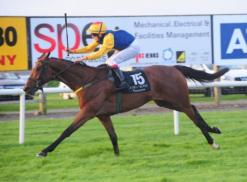 Blue Cannon and Conor Hoban winning the Ulster Cesarewitch