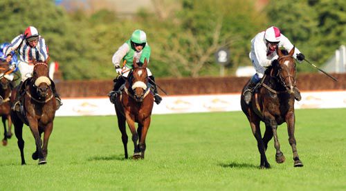 Minella Reception (left) is ridden out by James Carroll from Bonobo (left) and King Of Firth (centre)