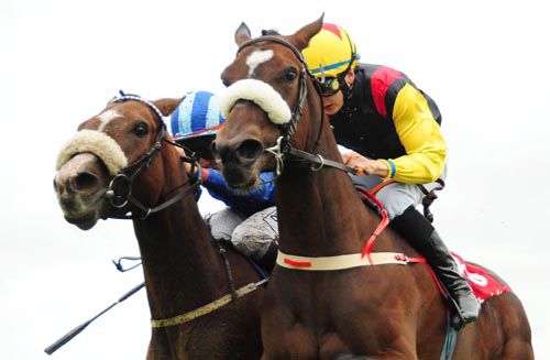 Lordhighprotector (right) just gets the better of Muntasaf