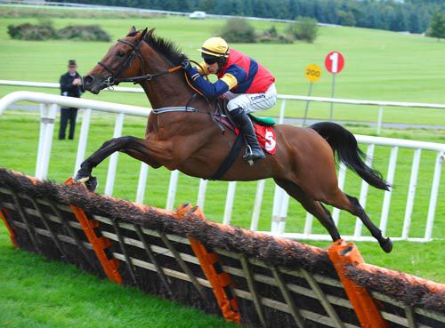 Norther Bay impresses at Gowran Park