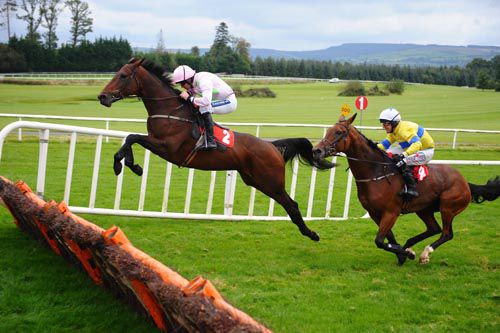 Blazing Tempo soars over the last at Gowran Park