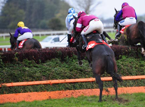 Rivage D'Or takes a fence on his way to victory at Ballinrobe