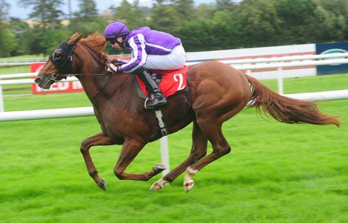 Hall Of Mirrors stretches clear for Joseph O'Brien