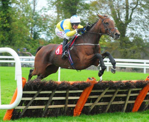 Burn And Turn pictured winning over hurdles 