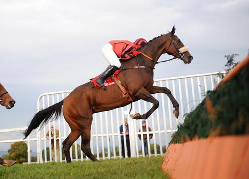 Pride Of The Artic puts in a prodigious leap at Tipperary