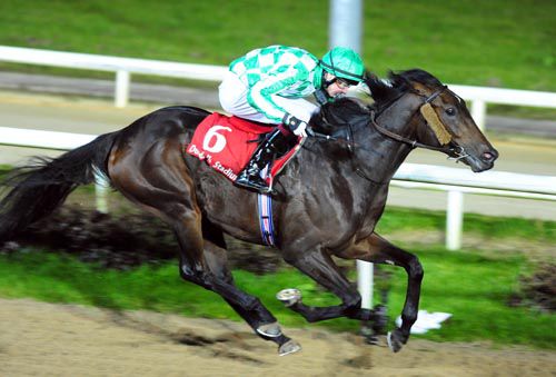 Lines Of Battle pictured on his way to victory at Dundalk last year