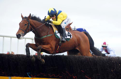 Foxrock pictured winning his point-to-point at Loughrea in October