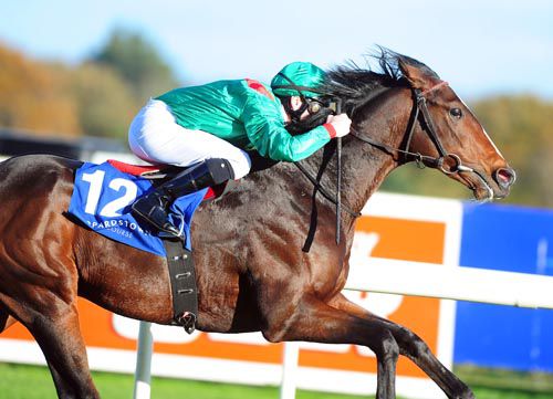 Zand opens his account at Leopardstown last autumn