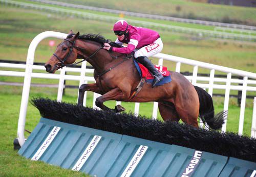 Rogue Angel - a first-time tongue-strap can help at Gowran today, according to his jockey, Davy Russell