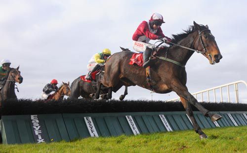 Shesonlyahorse does it gamely at Galway