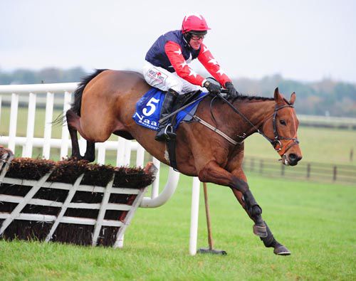 Maller Tree keeps up the gallop at Naas to score