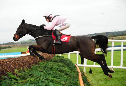 Oscars Well pictured winning his beginners chase at Punchestown
