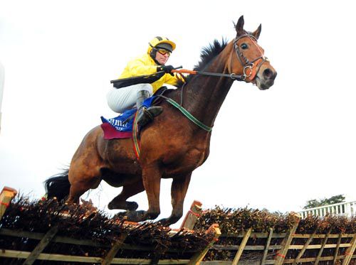Sands Cove on the way to victory at Clonmel