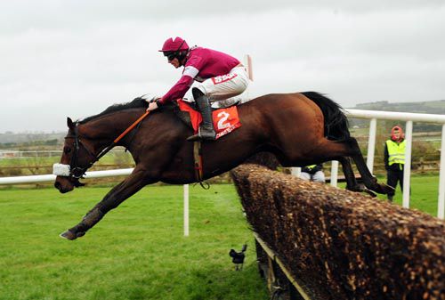Dedigout and Davy Russell