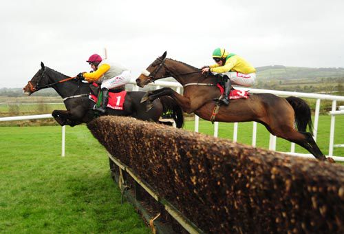 Banjaxed Girl leads Carrig Millie
