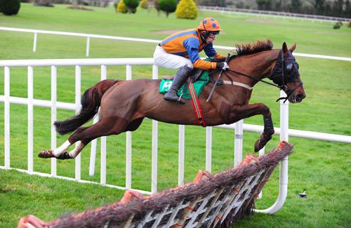 Whatuthink flies over a hurdle on his way to victory under Tom Doyle
