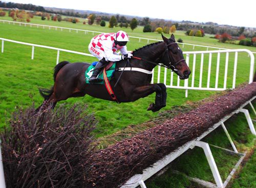 Flemenstar, one of the stars lining up at Punchestown tomorrow