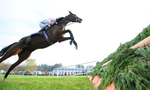 Another good leap from Tarla under Ruby Walsh at Clonmel
