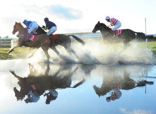 Arabella Boy (number 3) on the way to victory at Punchestown last time