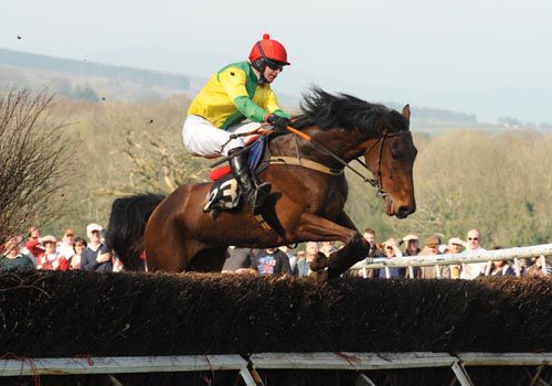 Rock Me John wins his point-to-point under Mark Slevin at the scenic Monksgrange