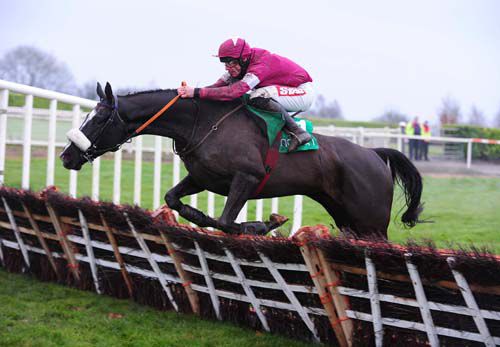 Don Cossack jumps the last under Davy Russell