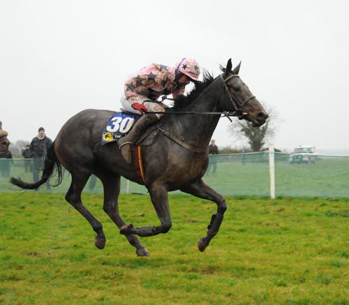 She had luck on her side but Treacy's Star got Martin Molloy off the mark at Boulta on Sunday 