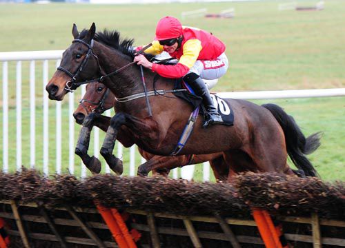 Lough Roe Lady jumps a hurdle on her way to victory under Davy Russell