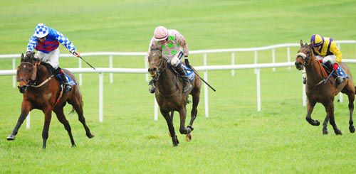 Crouching Harry accounts for Fatcatinthehat and Hazariban at Clonmel