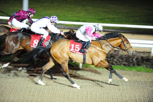 Your Pal Tal beat Rapid Approach and Tylery Wonder at Dundalk 