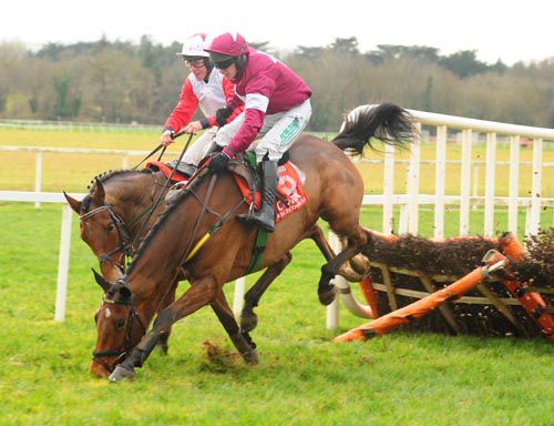 Road To Riches blunders at the last at Cork