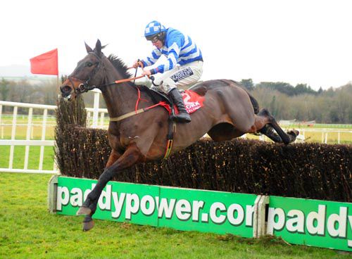 Days Hotel & Phillip Enright on their way to victory in the Hilly Way Chase at Cork