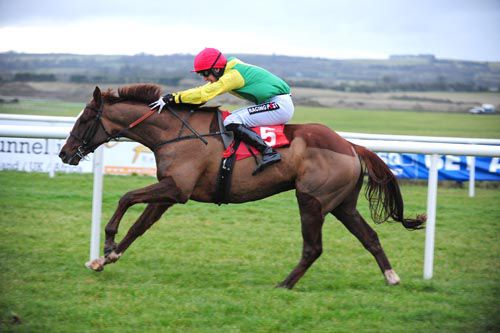 Sizing Tennessee striding clear at Punchestown