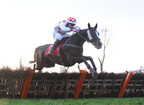 Dante Anna and Conor Murphy clear the last before going on to win at Gowran