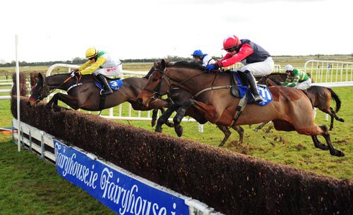 Canaly (farside) jumps the last ahead of Terminal