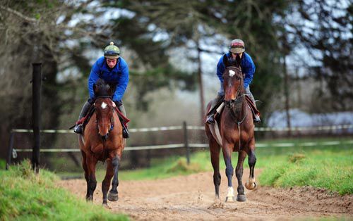 Shane Tierney on Coolnaleen (left) & Eoin McCarthy on Sallies Boy 