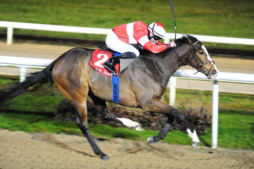 Elleval - here on the way to a victory at Dundalk