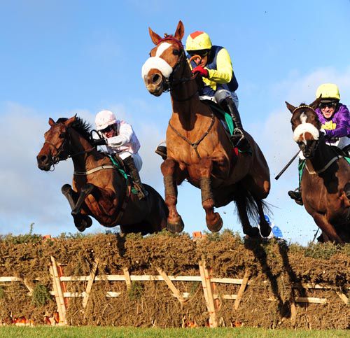 Flaxen Flare jumps the last in front from Ibsen (left) and Diplomat (right)