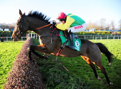 Sizing Europe in action at Leopardstown last week