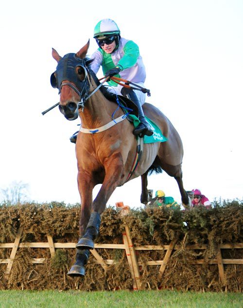 Cairdin & Danny Mullins clear the last