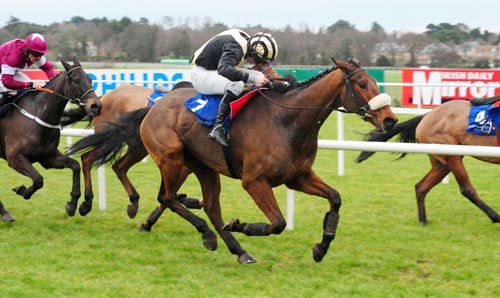 Talbot Road takes an incident-packed race at Leopardstown