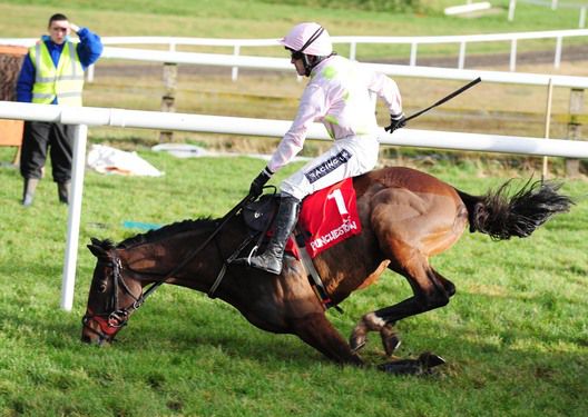 Fatcatinthehat and Ruby Walsh fall at the last with the race at their mercy