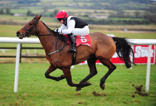 Our Pollyanna in full flight at Punchestown 