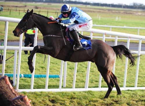 Wise Oscar jumps the last at Fairyhouse on New Year's Day