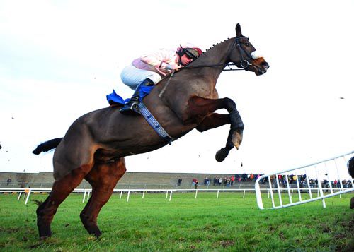 High Desert, well-fancied in the handicap chase